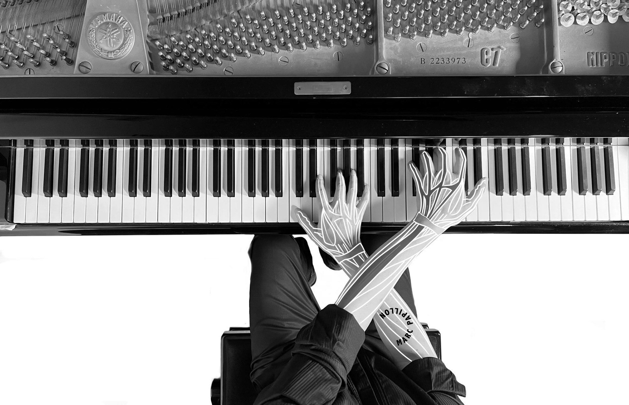 Mains d’un pianiste, anatomie dessinée sur les bras, au-dessus du clavier.